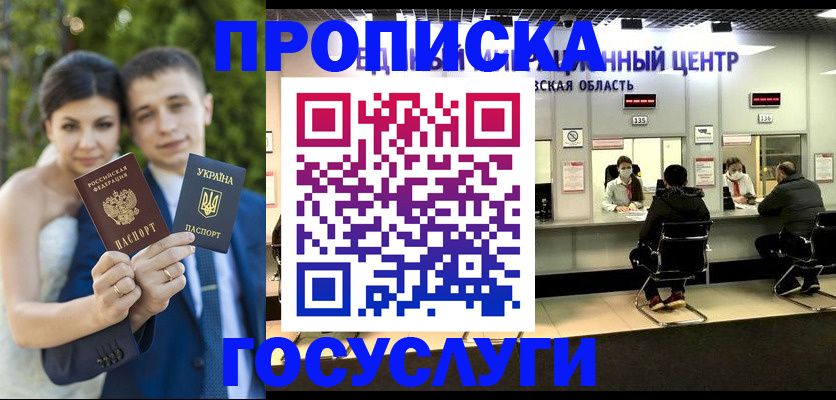 прописка штамп в Тереке